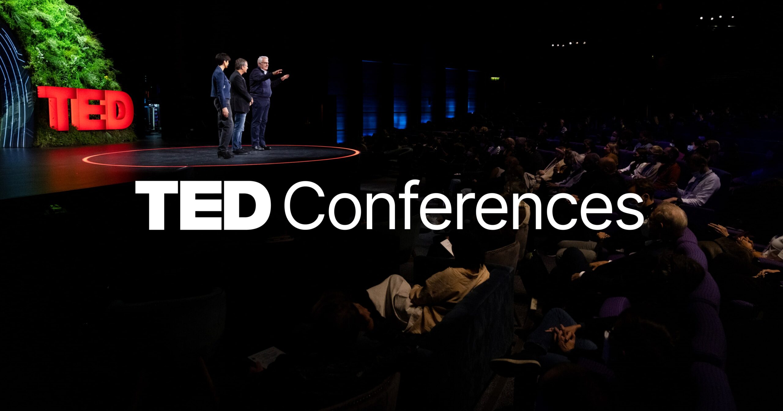 ted image ted image